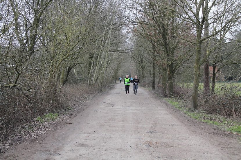 Bosloop Brecht - 46